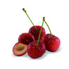 Cerisier nain Chérie Cherry - Nains de jardins®